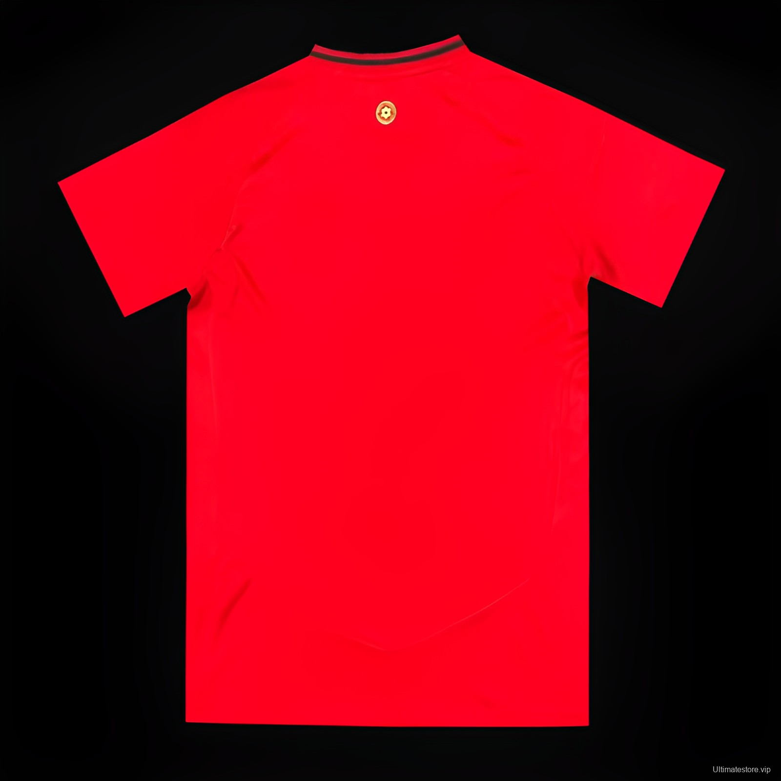 2024 Wales Home